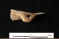 陶罐藏品圖，第4張