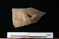 陶罐藏品圖，第5張
