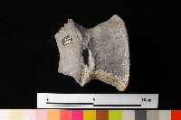 陶片藏品圖，第1張