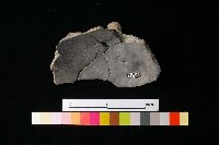 陶蓋藏品圖，第2張