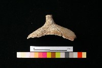 陶蓋藏品圖，第3張