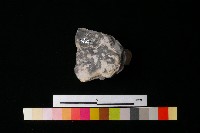 陶蓋藏品圖，第2張