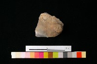 陶蓋藏品圖，第3張