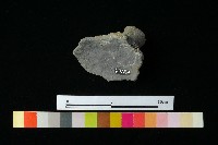 陶蓋藏品圖，第1張