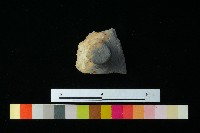 陶蓋藏品圖，第1張