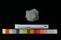 陶蓋藏品圖，第2張