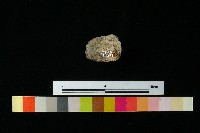 陶蓋藏品圖，第2張