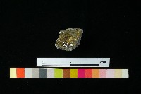 陶蓋藏品圖，第2張