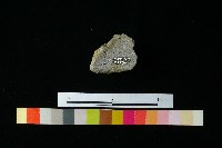 陶蓋藏品圖，第2張