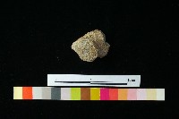 陶蓋藏品圖，第3張