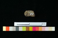 陶蓋藏品圖，第2張