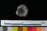 陶蓋藏品圖，第5張