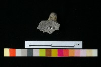 陶把藏品圖，第2張