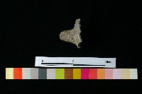 陶把藏品圖，第1張