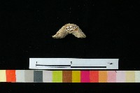 陶把藏品圖，第2張