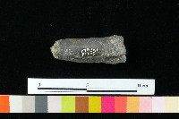 獸足藏品圖，第2張