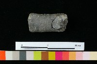 獸足藏品圖，第3張