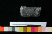 獸足藏品圖，第5張