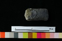 獸足藏品圖，第6張