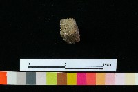 陶器藏品圖，第3張