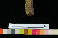 陶器藏品圖，第4張