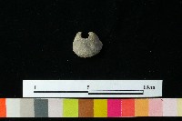 紡輪藏品圖，第2張