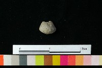 紡輪藏品圖，第3張