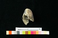 陶器藏品圖，第2張