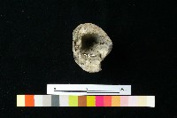 陶器藏品圖，第3張