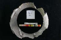 陶罐藏品圖，第3張