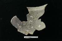 陶罐藏品圖，第2張