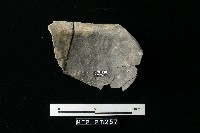 陶罐藏品圖，第1張