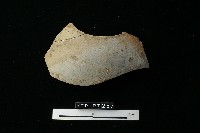 陶器藏品圖，第1張