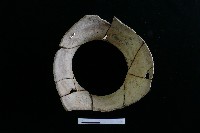 陶罐藏品圖，第3張