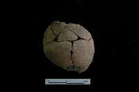 陶罐藏品圖，第2張