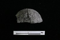 陶缽藏品圖，第3張