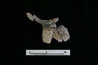 陶罐藏品圖，第3張