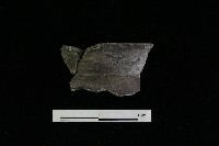 陶罐藏品圖，第2張