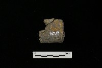 陶罐藏品圖，第2張