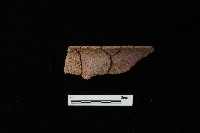 陶罐藏品圖，第2張