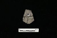 陶器藏品圖，第2張