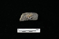 陶罐藏品圖，第2張