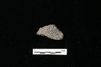 陶器藏品圖，第2張