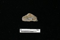 陶器藏品圖，第3張