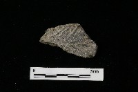 陶器藏品圖，第4張