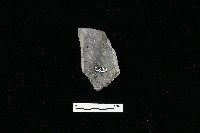 陶片藏品圖，第2張