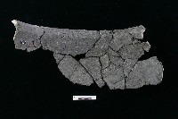 陶罐藏品圖，第1張