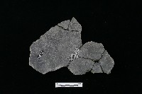 陶器藏品圖，第2張