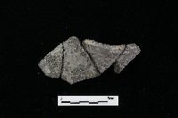 陶罐藏品圖，第2張