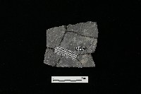 陶器藏品圖，第2張